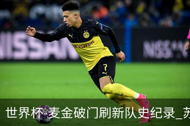 世界杯-麦金破门刷新队史纪录 苏格兰1-0海地领跑积分榜